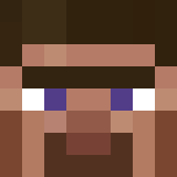 auctioneer icon