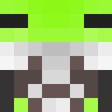 Minecraft players skin