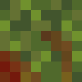 auctioneer icon