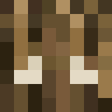 auctioneer icon