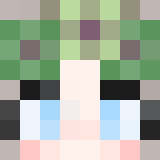 Tête du Skin