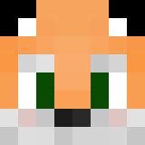 Tête de Raymirex