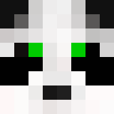 Tête de SyrGame