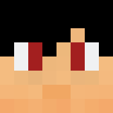 Tête de Puffin_game