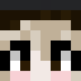 Minecraft players skin