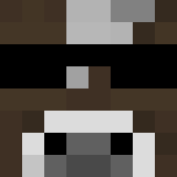 Tête de TheR3fe