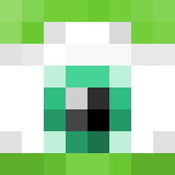 Minecraft players skin