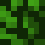 Tête de Xalam_Gaming