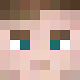Minecraft players skin
