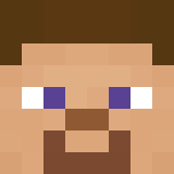 Tête de MartyMcFlycraft