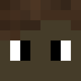Minecraft players skin