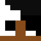 PJtheCollector
