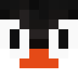 Tête de warrior_auk