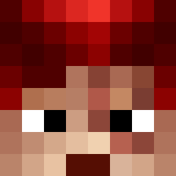Villagerisjustop