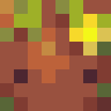 Minecraft players skin
