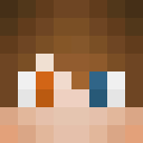 Minecraft players skin