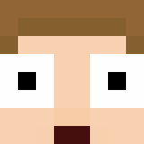 Minecraft players skin
