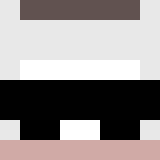 Minecraft players skin