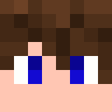 Minecraft players skin