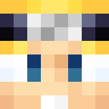Tête de XxSup3rNinjaxX