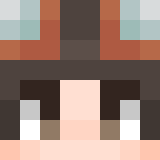 Minecraft players skin