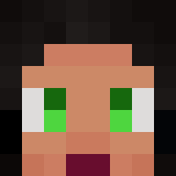 Minecraft players skin