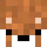 Minecraft players skin