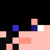 Minecraft players skin