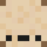 Minecraft players skin