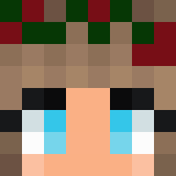 FlashAsh2008 Skin