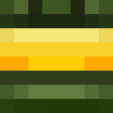 magikdude Skin