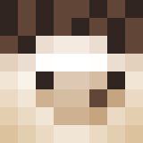 Minecraft players skin