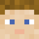 Minecraft players skin