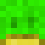 TurtleWithaBlock