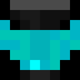 Minecraft players skin