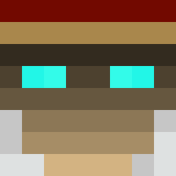 Minecraft players skin