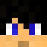 Tête de TheStaRWeK