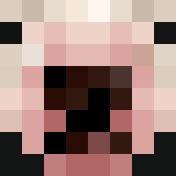 Tête de cleguero01