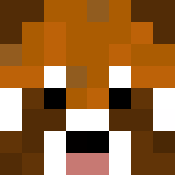 Tête de MatthGame