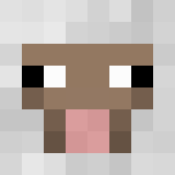 Tête de moocentry01