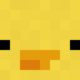 Tête de Mathiascraft05