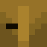 Tête de ShadowMC101