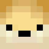 Tête de DogeTheDiabolic