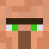 Minecraft players skin