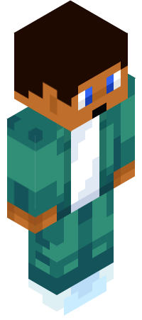 Player Skin