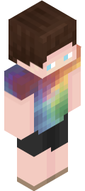 Wichtiger Minecraft Skin