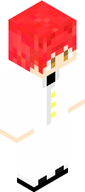 camaman Minecraft Skin