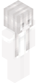 n1 Minecraft Skin