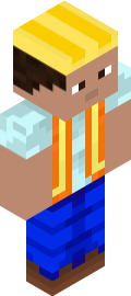 Progammer20134