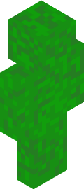 Carm Minecraft Skin